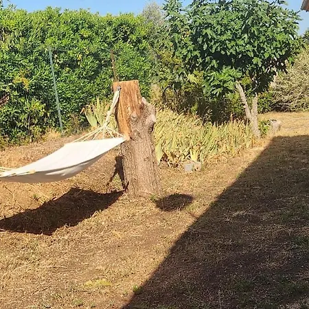 Entre Et Vignes *